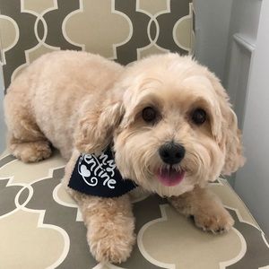 Meet your Posher, Meredith